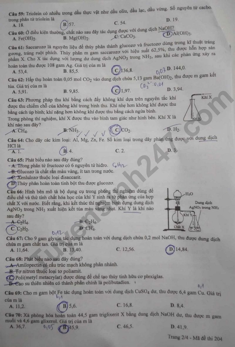 de thi tot nghiep thpt 2024 mon hoa hoc ma de 204 hinh 2