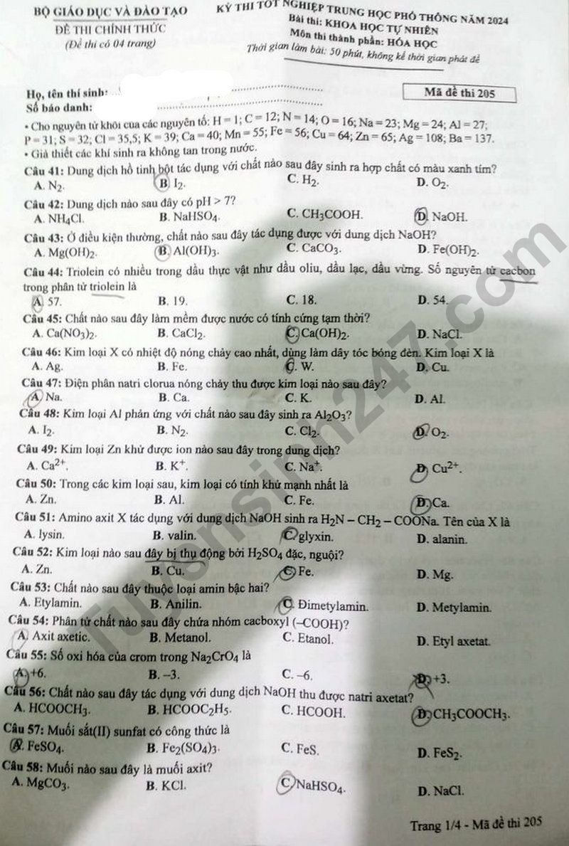 de thi tot nghiep thpt 2024 mon hoa hoc ma de 205 hinh 1