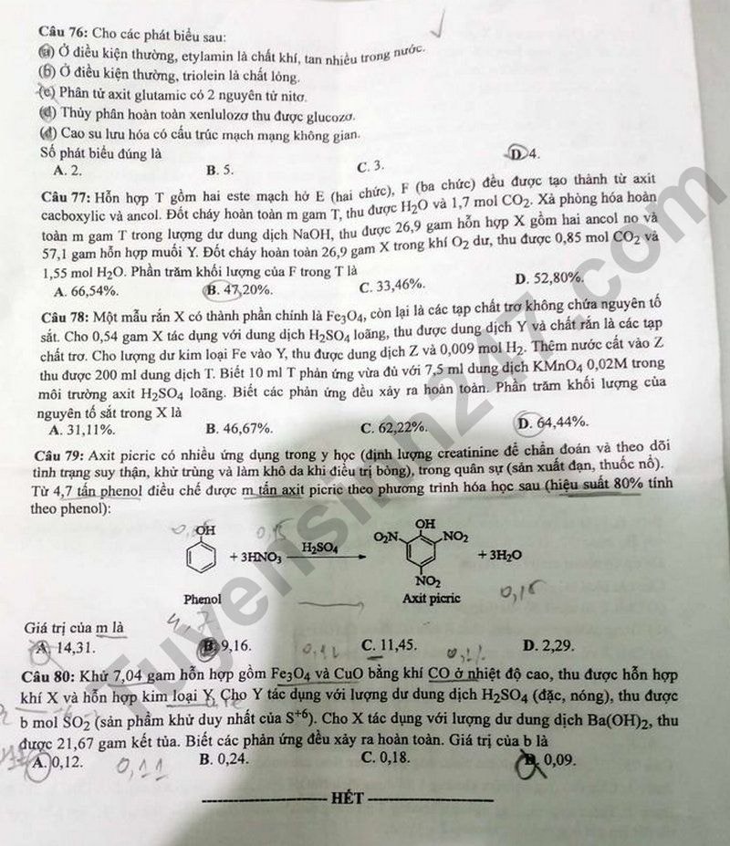 de thi tot nghiep thpt 2024 mon hoa hoc ma de 205 hinh 4