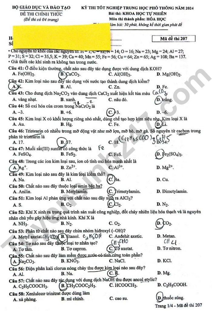 de thi tot nghiep thpt 2024 mon hoa hoc ma de 207 hinh 1