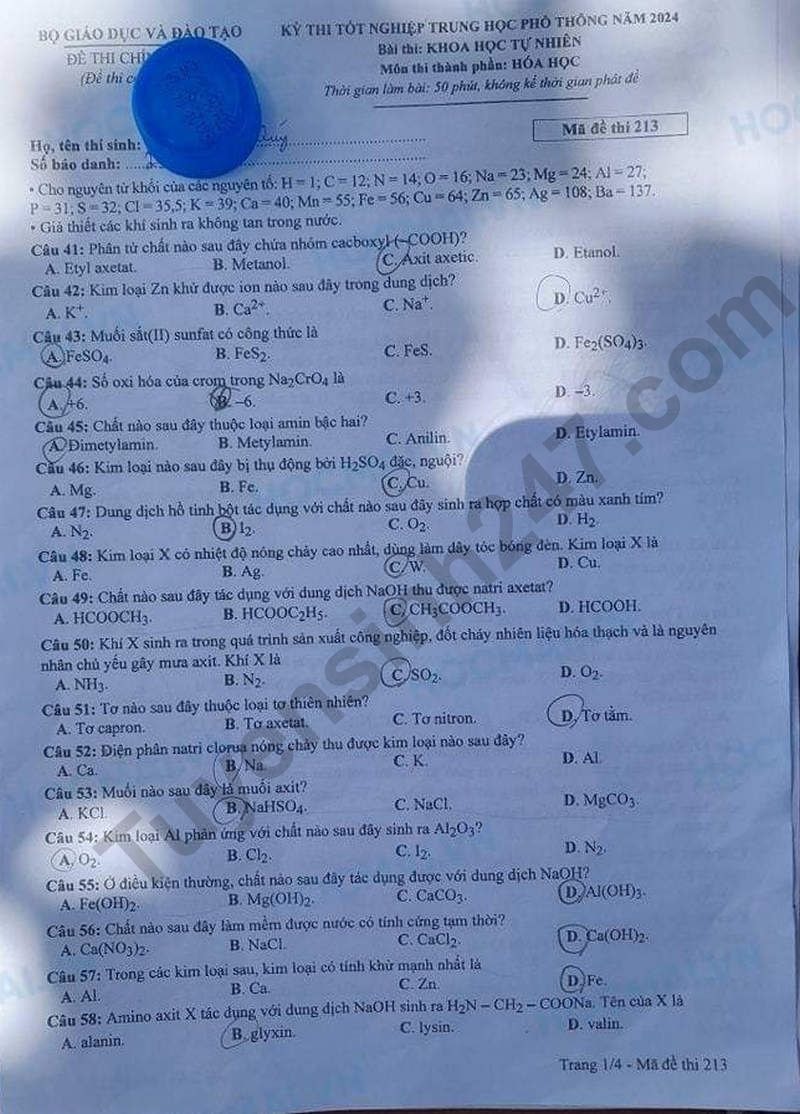 de thi tot nghiep thpt 2024 mon hoa hoc ma de 213 hinh 1
