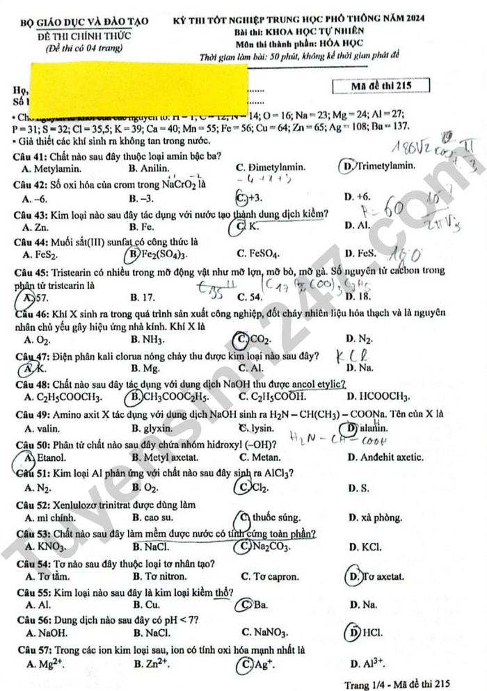 de thi tot nghiep thpt 2024 mon hoa hoc ma de 215 hinh 1