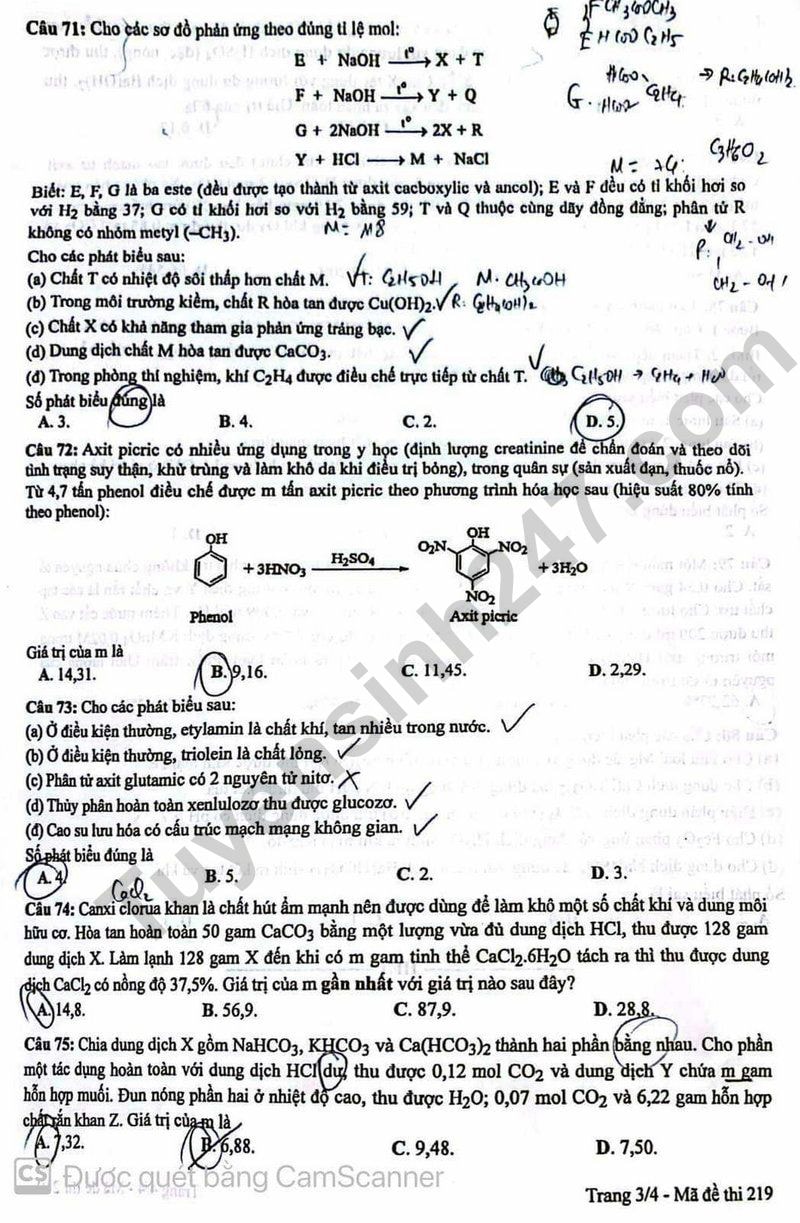 de thi tot nghiep thpt 2024 mon hoa hoc ma de 219 hinh 3