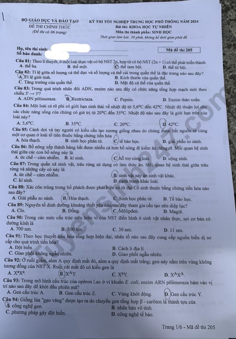 de thi tot nghiep thpt 2024 mon sinh hoc ma de 205 hinh 1