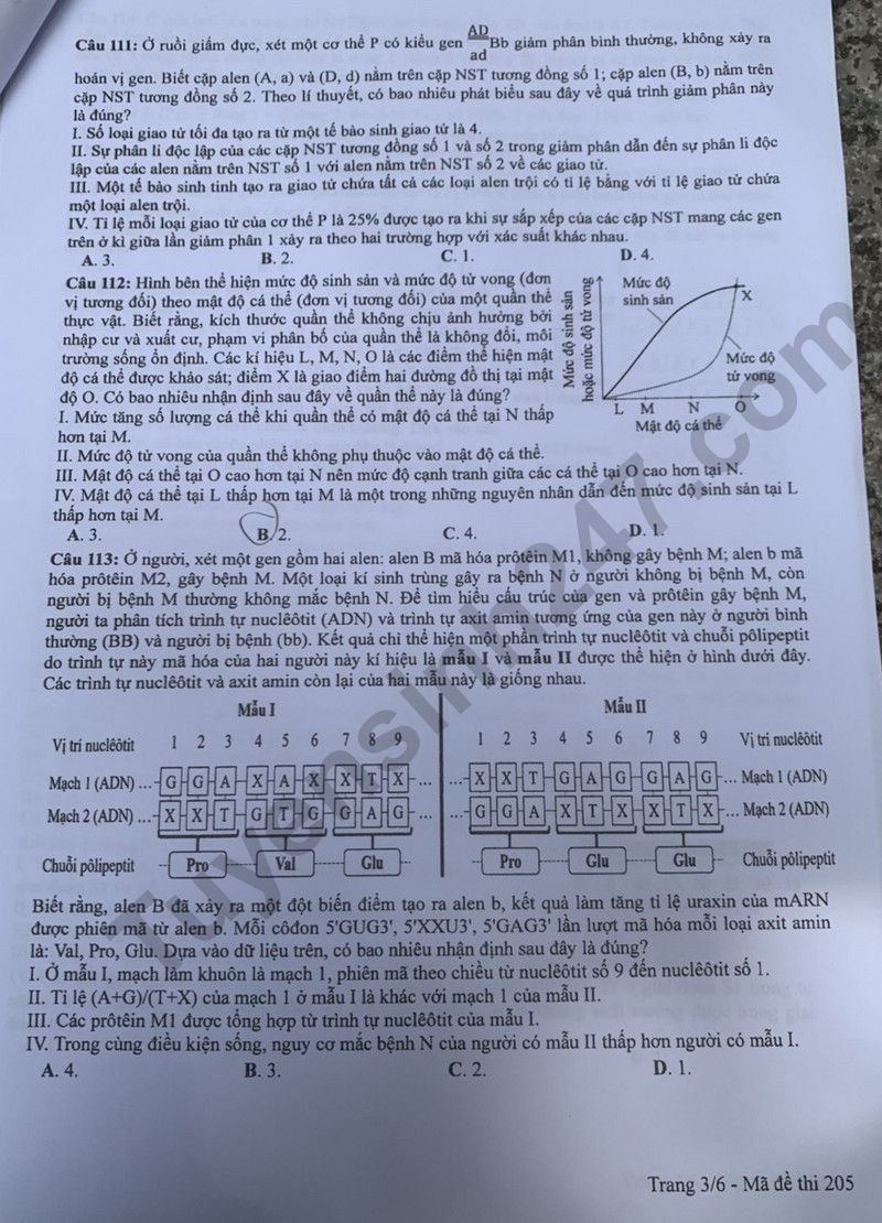 de thi tot nghiep thpt 2024 mon sinh hoc ma de 205 hinh 3
