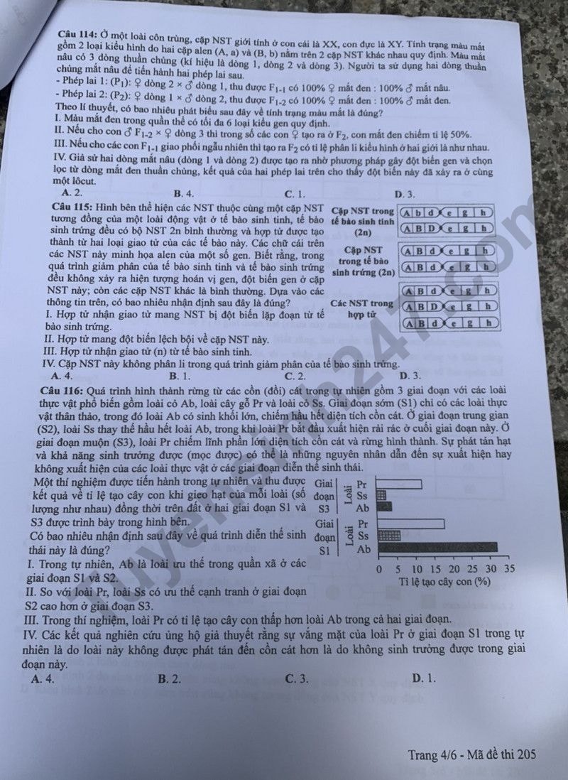 de thi tot nghiep thpt 2024 mon sinh hoc ma de 205 hinh 4