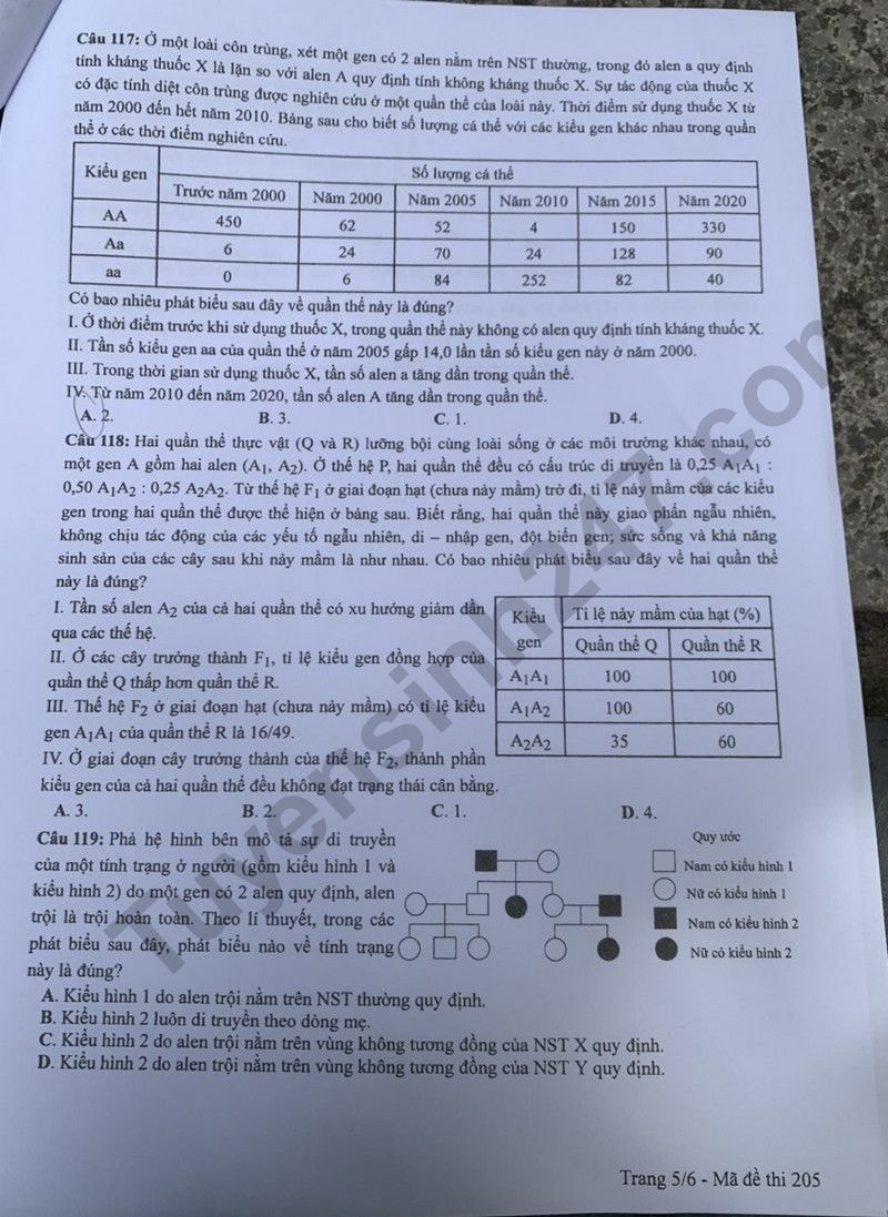 de thi tot nghiep thpt 2024 mon sinh hoc ma de 205 hinh 5