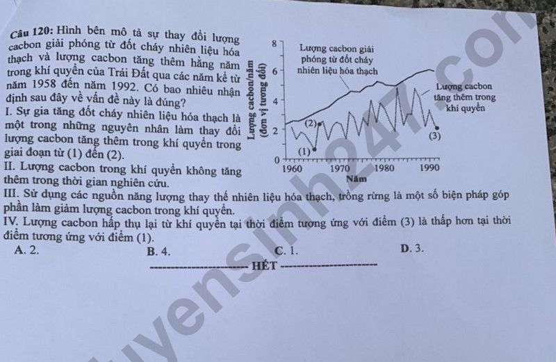 de thi tot nghiep thpt 2024 mon sinh hoc ma de 205 hinh 6
