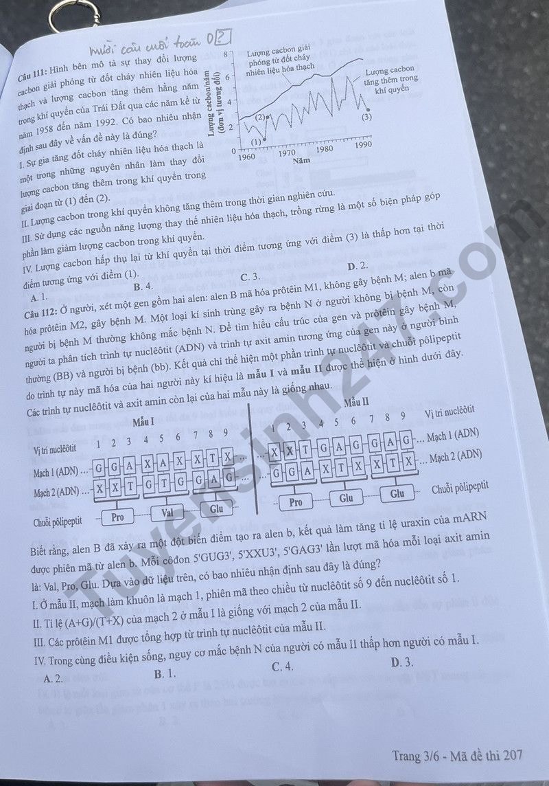 de thi tot nghiep thpt 2024 mon sinh hoc ma de 207 hinh 3