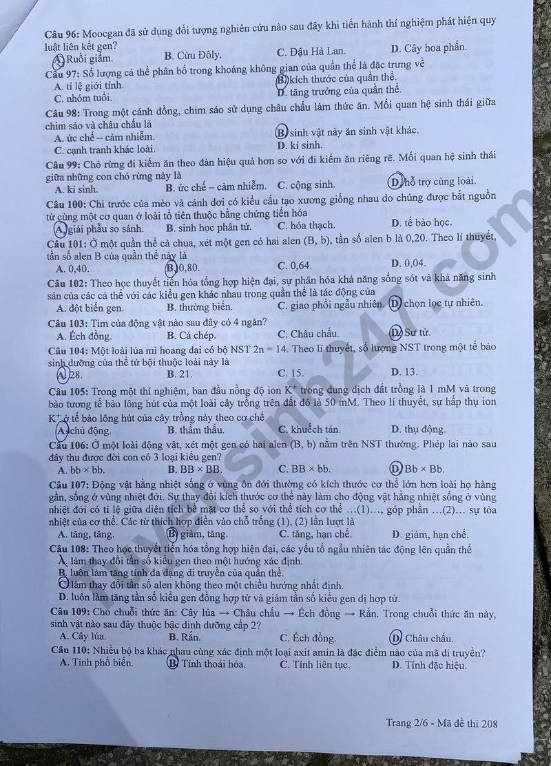 de thi tot nghiep thpt 2024 mon sinh hoc ma de 208 hinh 2