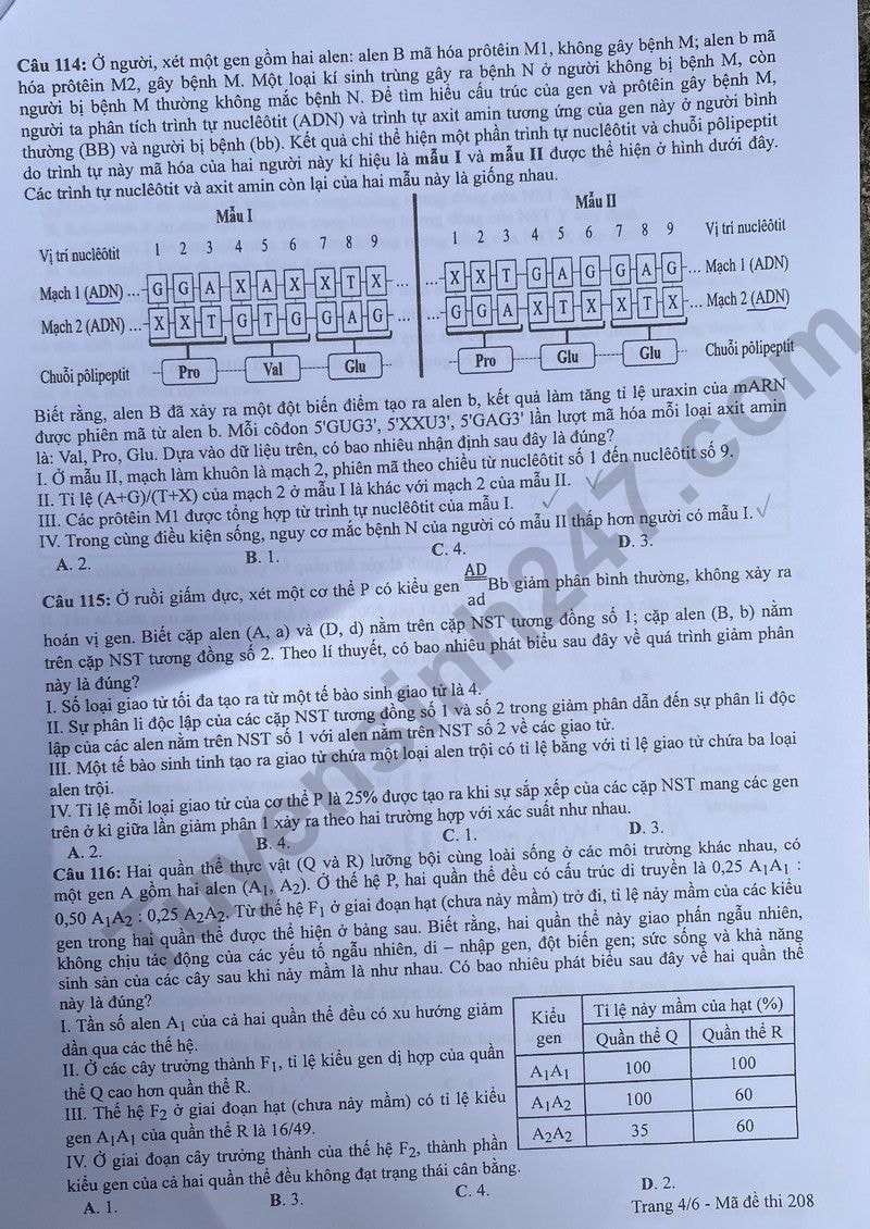 de thi tot nghiep thpt 2024 mon sinh hoc ma de 208 hinh 4