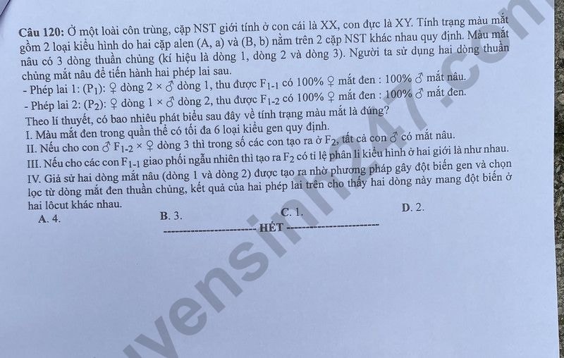 de thi tot nghiep thpt 2024 mon sinh hoc ma de 208 hinh 6