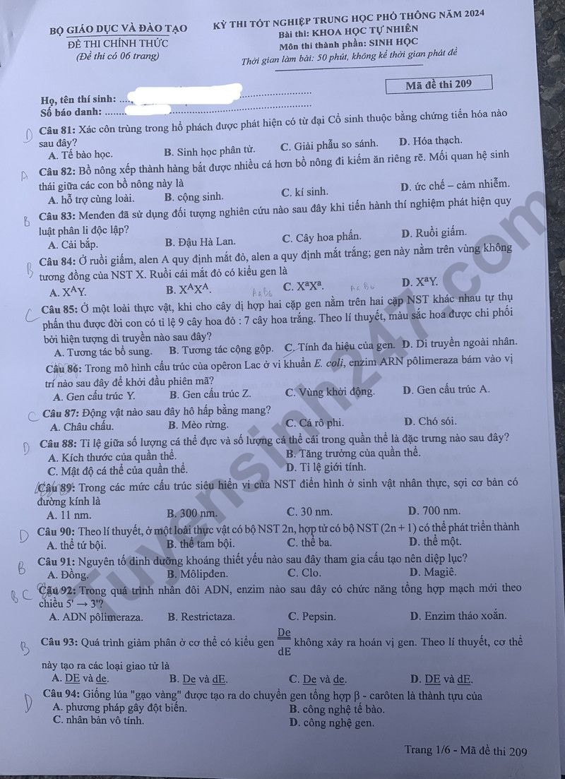 de thi tot nghiep thpt 2024 mon sinh hoc ma de 209 hinh 1