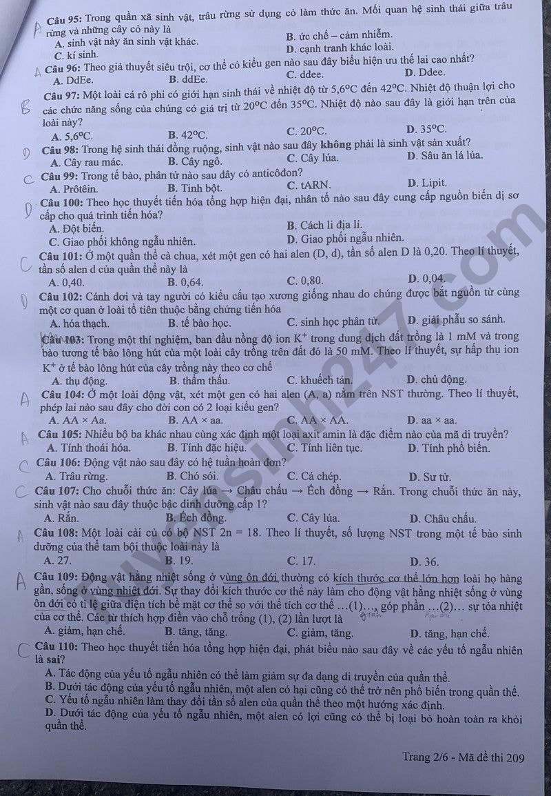 de thi tot nghiep thpt 2024 mon sinh hoc ma de 209 hinh 2