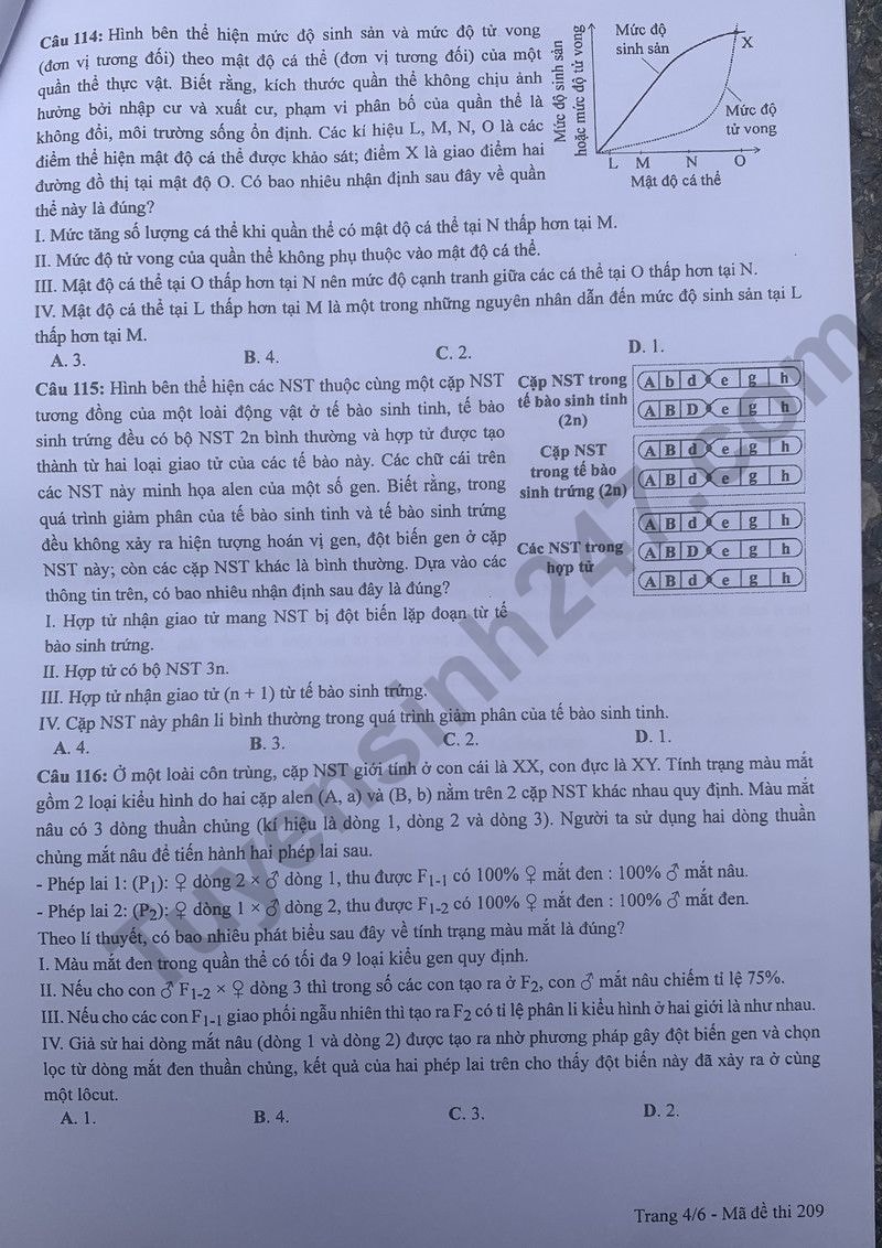 de thi tot nghiep thpt 2024 mon sinh hoc ma de 209 hinh 4