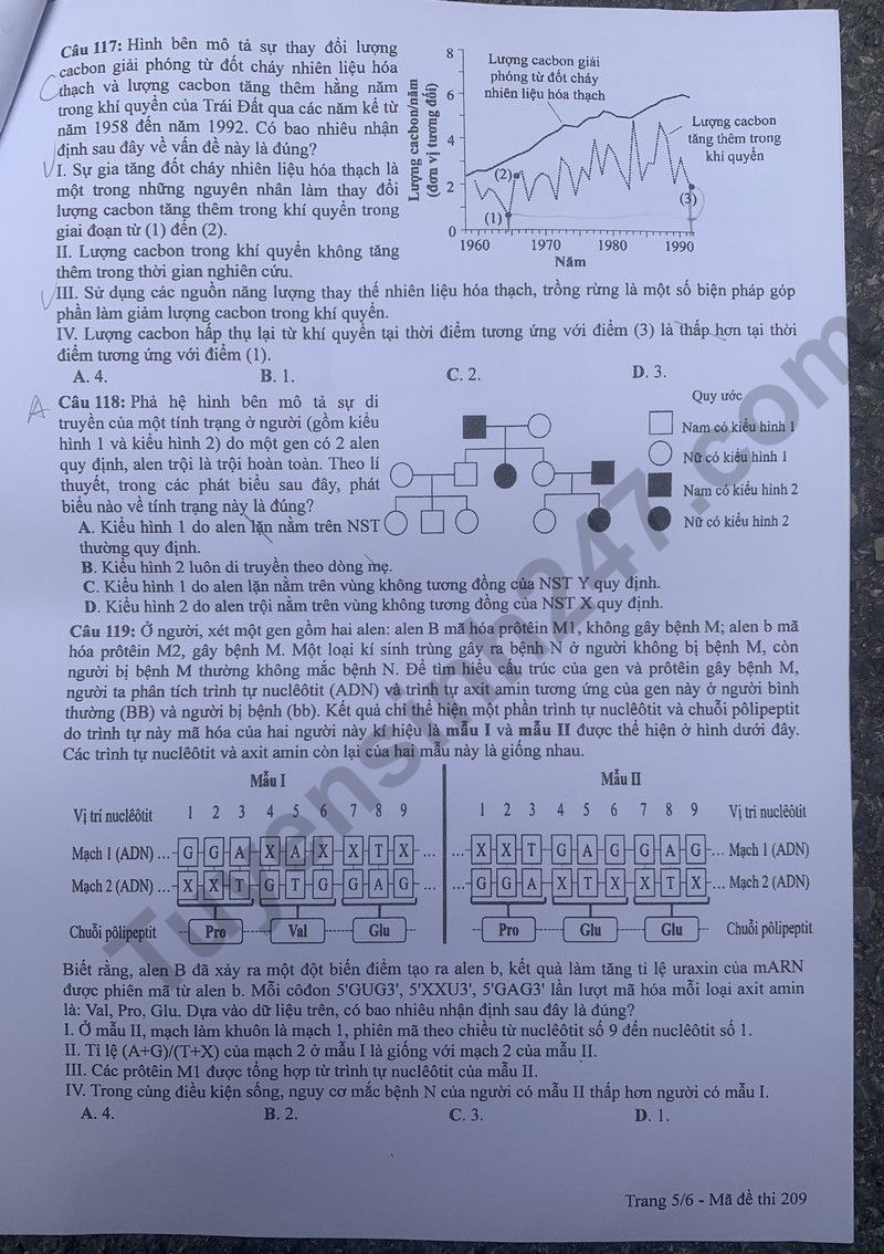 de thi tot nghiep thpt 2024 mon sinh hoc ma de 209 hinh 5