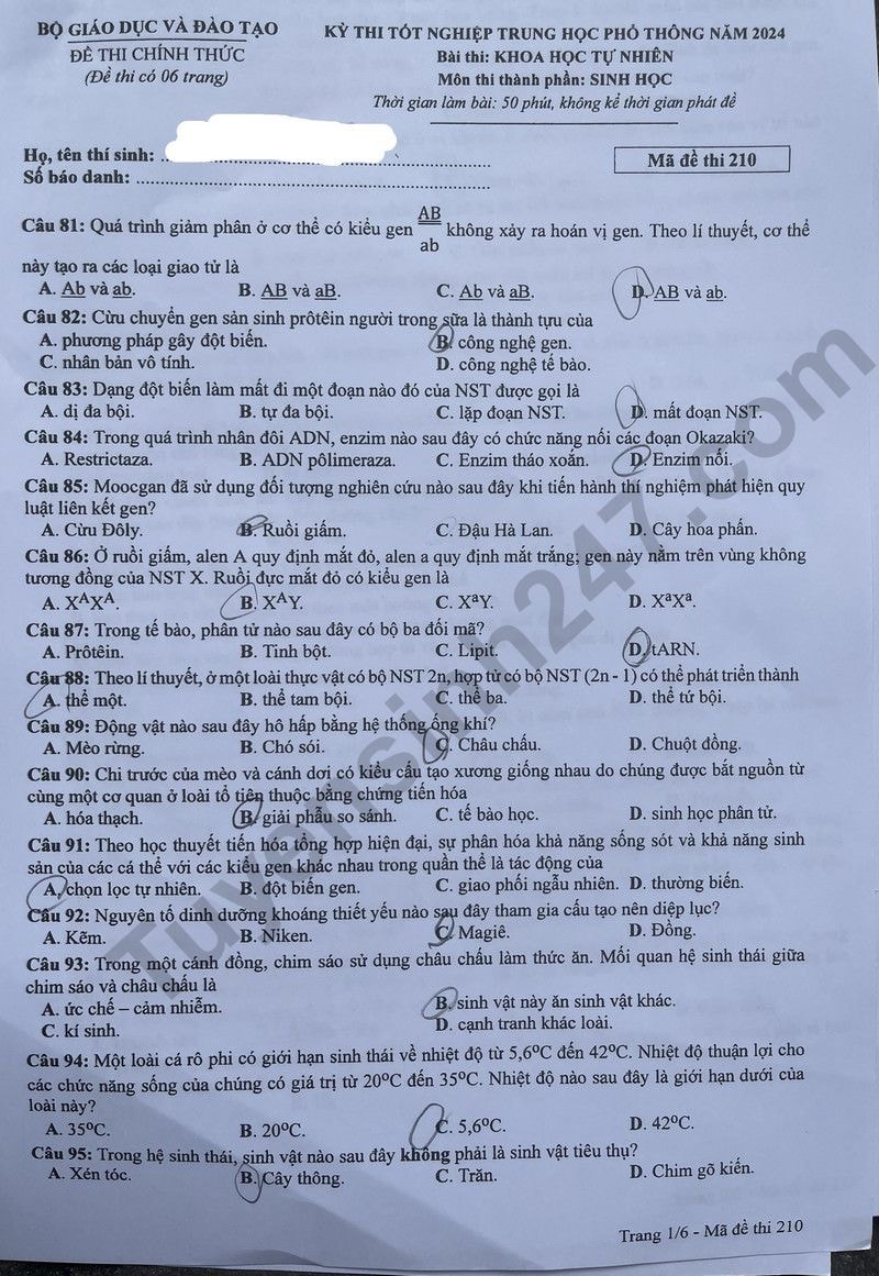 de thi tot nghiep thpt 2024 mon sinh hoc ma de 210 hinh 1
