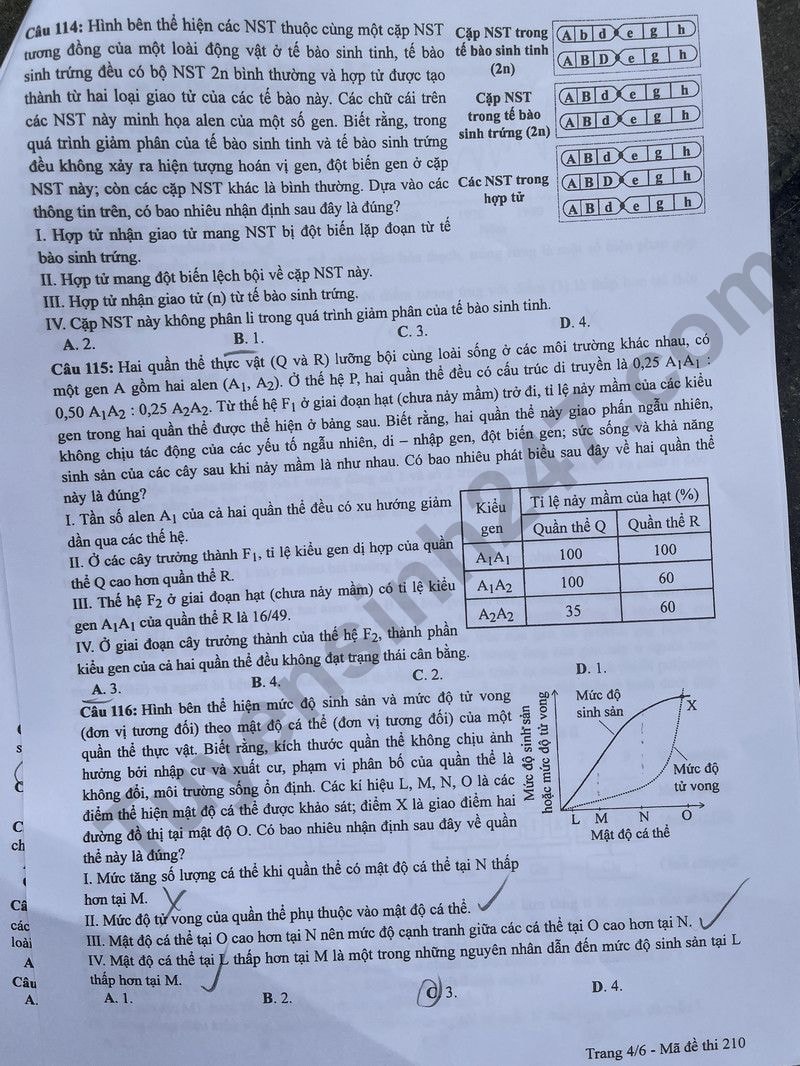 de thi tot nghiep thpt 2024 mon sinh hoc ma de 210 hinh 4