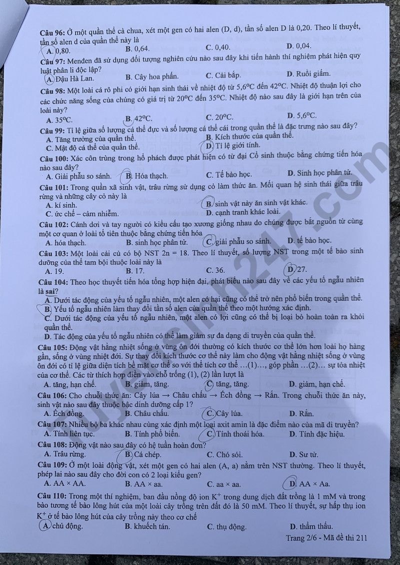 de thi tot nghiep thpt 2024 mon sinh hoc ma de 211 hinh 2