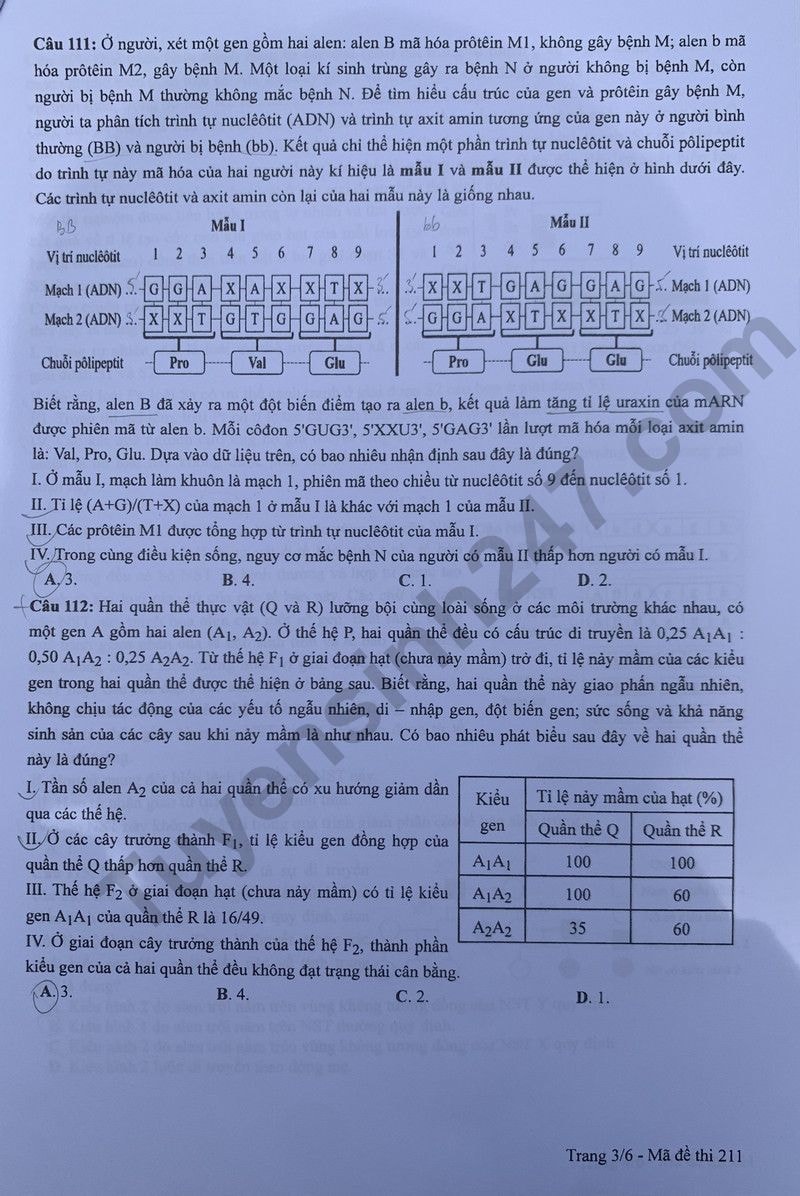 de thi tot nghiep thpt 2024 mon sinh hoc ma de 211 hinh 3