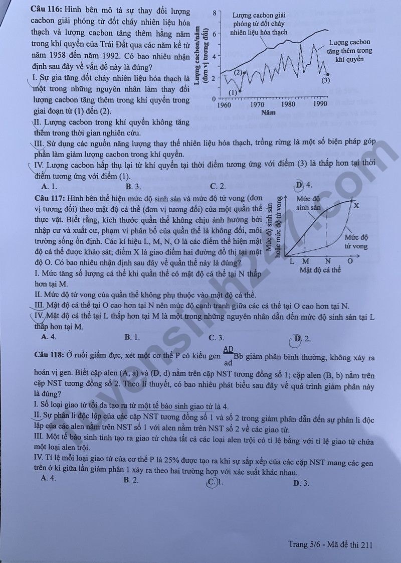 de thi tot nghiep thpt 2024 mon sinh hoc ma de 211 hinh 5