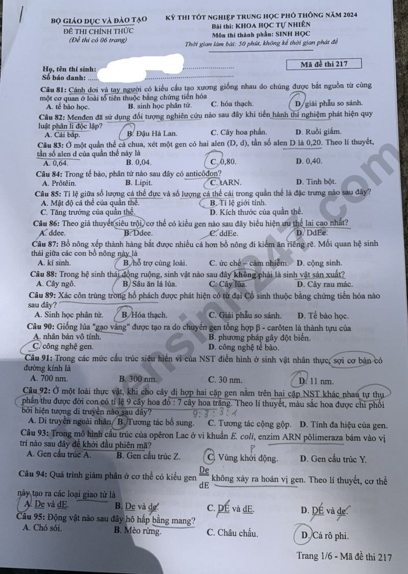 de thi tot nghiep thpt 2024 mon sinh hoc ma de 217 hinh 1
