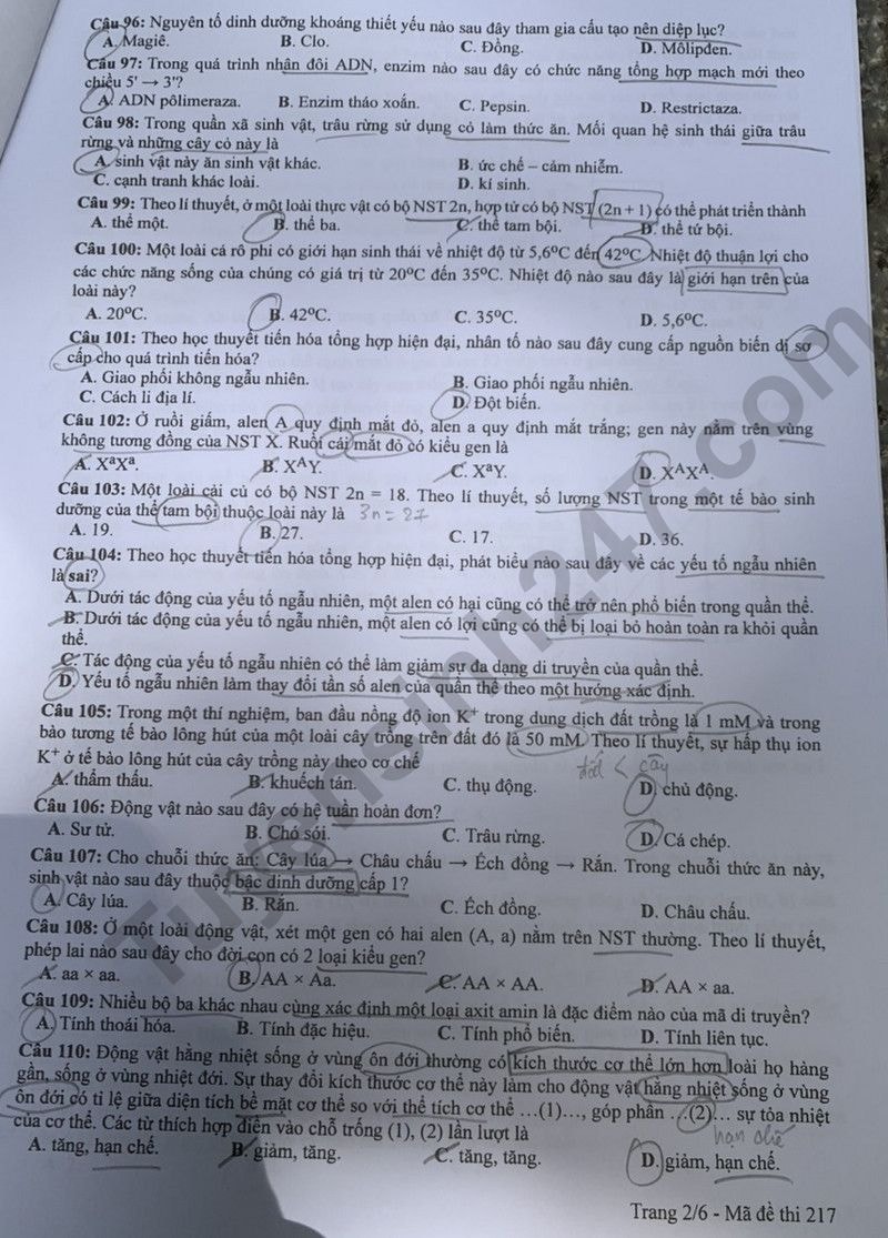 de thi tot nghiep thpt 2024 mon sinh hoc ma de 217 hinh 2