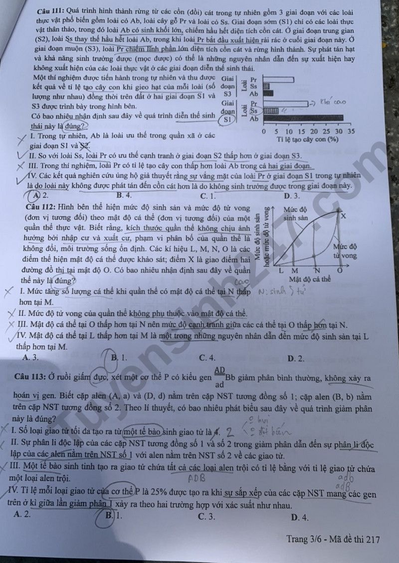 de thi tot nghiep thpt 2024 mon sinh hoc ma de 217 hinh 3