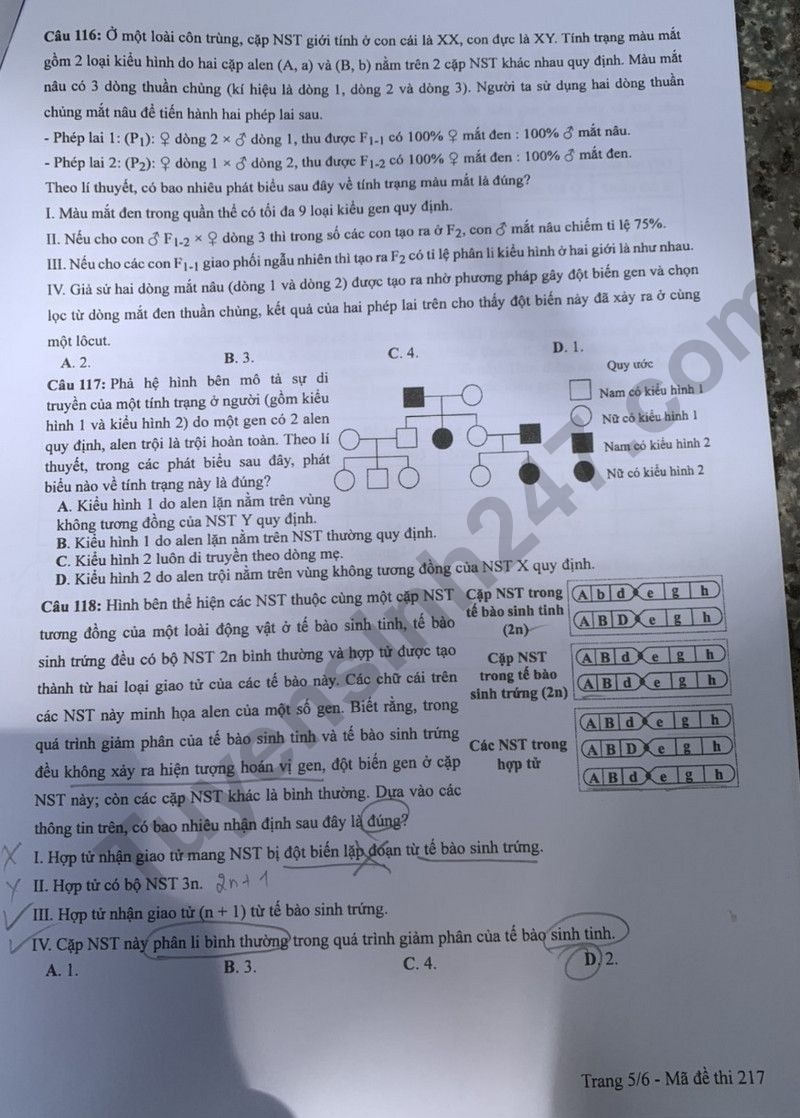 de thi tot nghiep thpt 2024 mon sinh hoc ma de 217 hinh 5