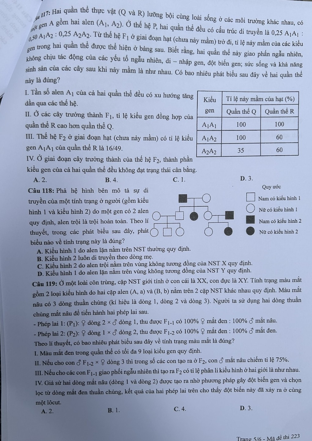 de thi tot nghiep thpt 2024 mon sinh hoc ma de 223 hinh 5