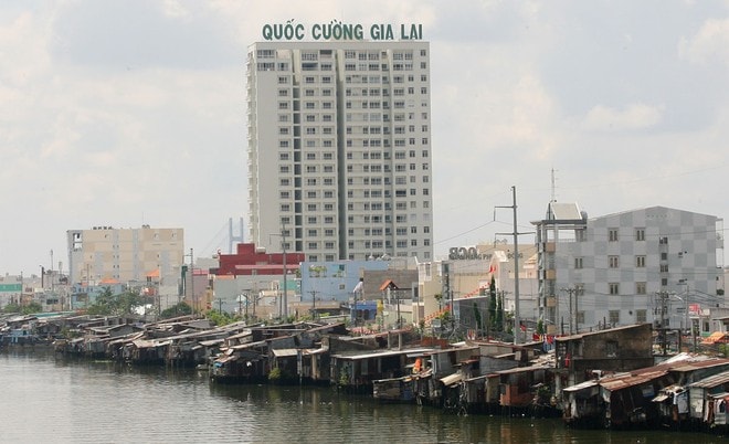 quoc cuong gia lai qcg doanh thu giam 77 hoan dhdcd do tgd gap van de suc khoe hinh 1