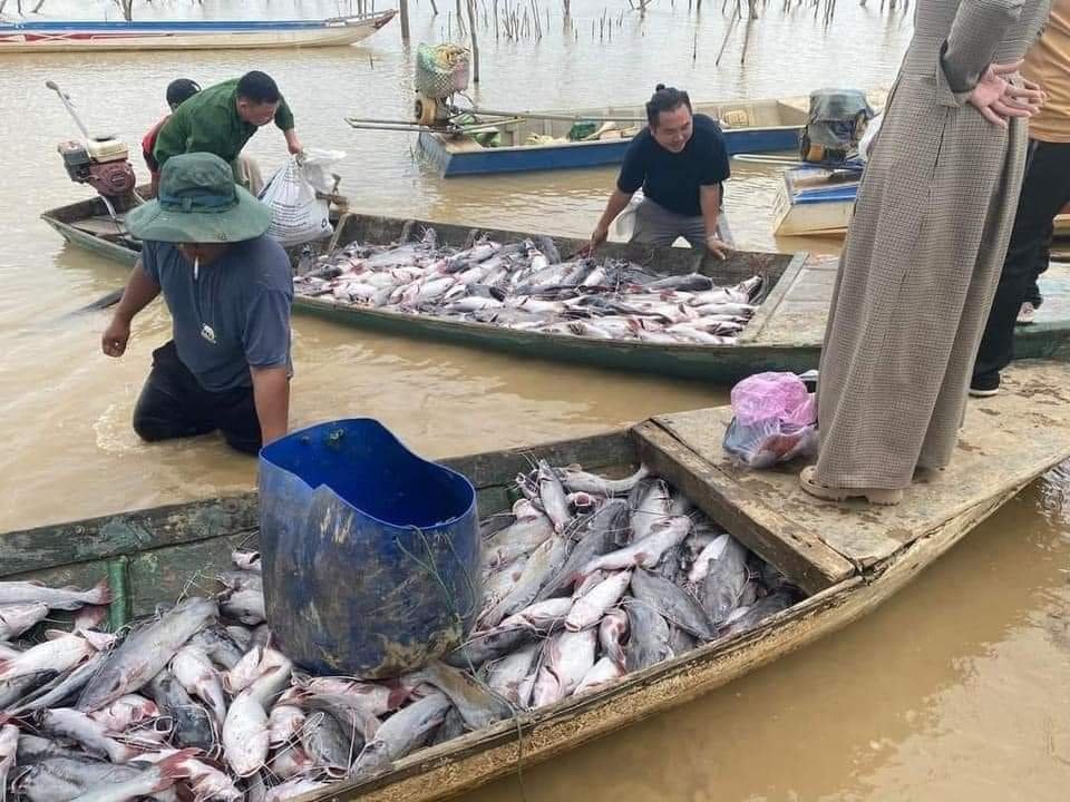 vu ca chet trang tren long ho thuy dien o kon tum da co ket qua kiem tra mau nuoc hinh 2