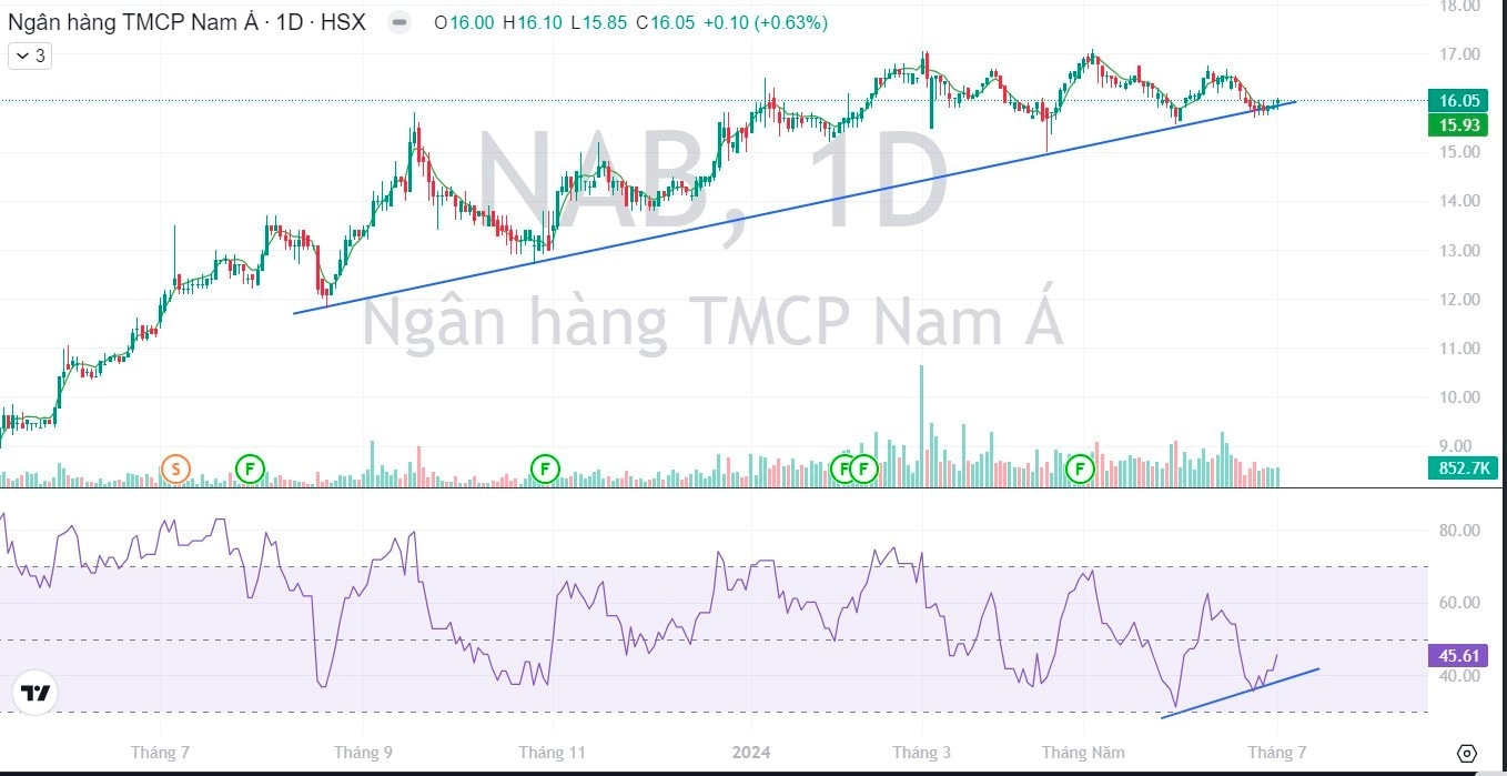nam a bank duoc phe duyet co tuc len den 25 loi nhuan du kien tao dinh moi hinh 1