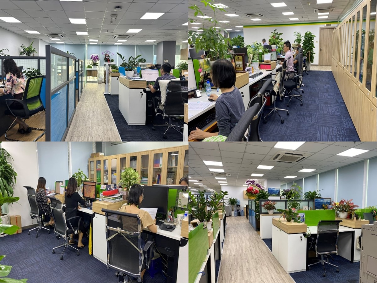 sinh khi moi tu chuong trinh 5s cua pvfcco hinh 2