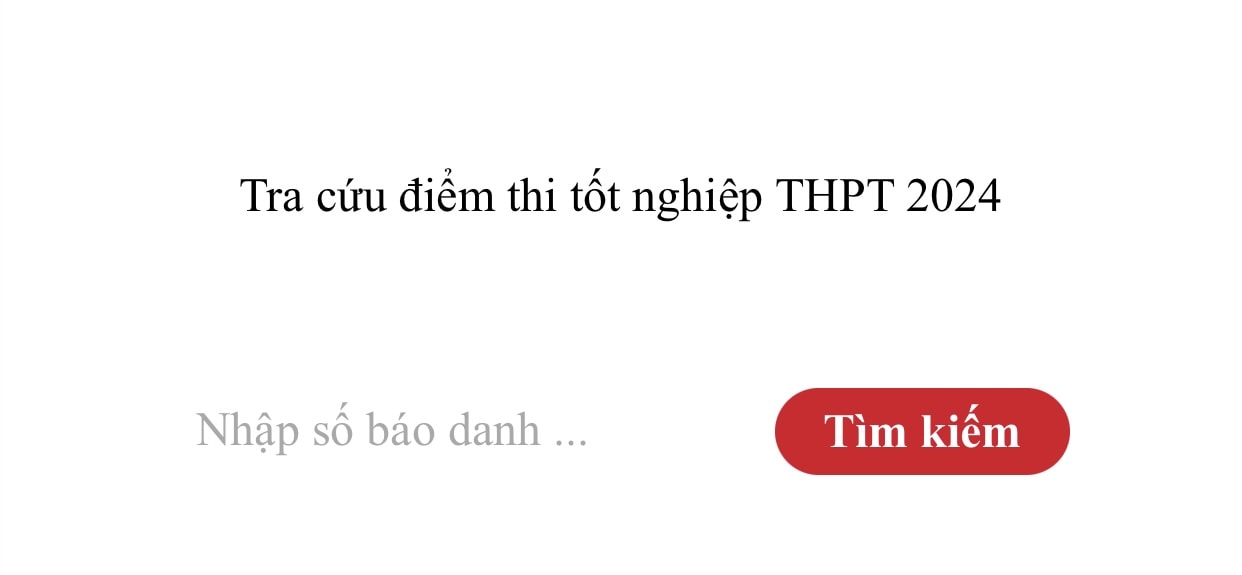 huong dan tra cuu diem thi tot nghiep thpt 2024 hinh 1