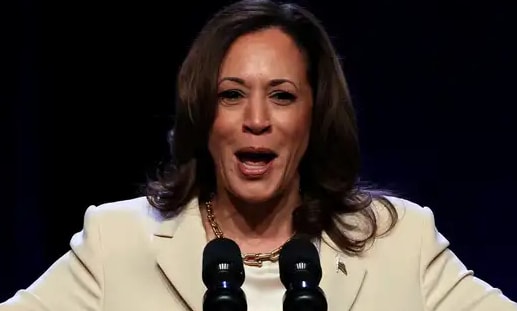 bau cu my 2024 ba kamala harris ung vien moi cua dang dan chu la ai hinh 1