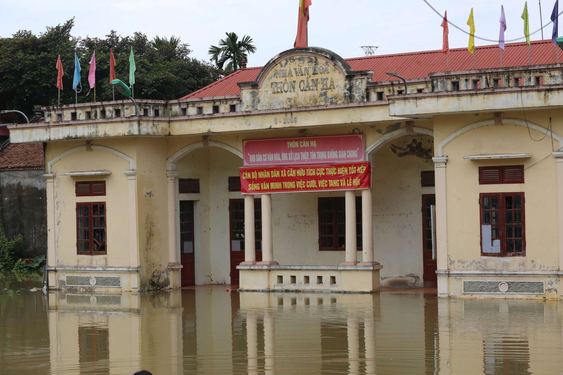 nhieu canh dong chim trong nuoc o huyen ngoai thanh ha noi hinh 3