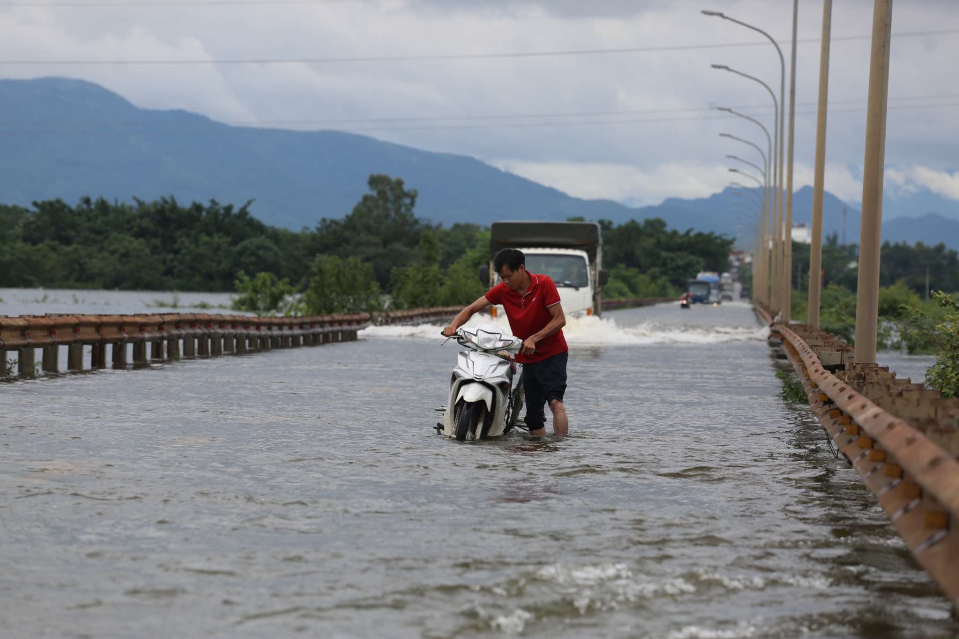 nhieu canh dong chim trong nuoc o huyen ngoai thanh ha noi hinh 2