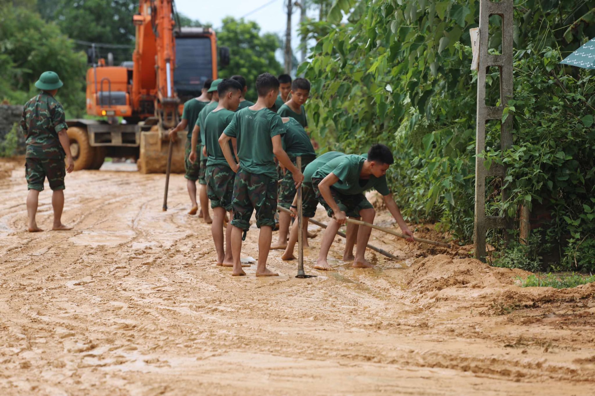 nhieu canh dong chim trong nuoc o huyen ngoai thanh ha noi hinh 5