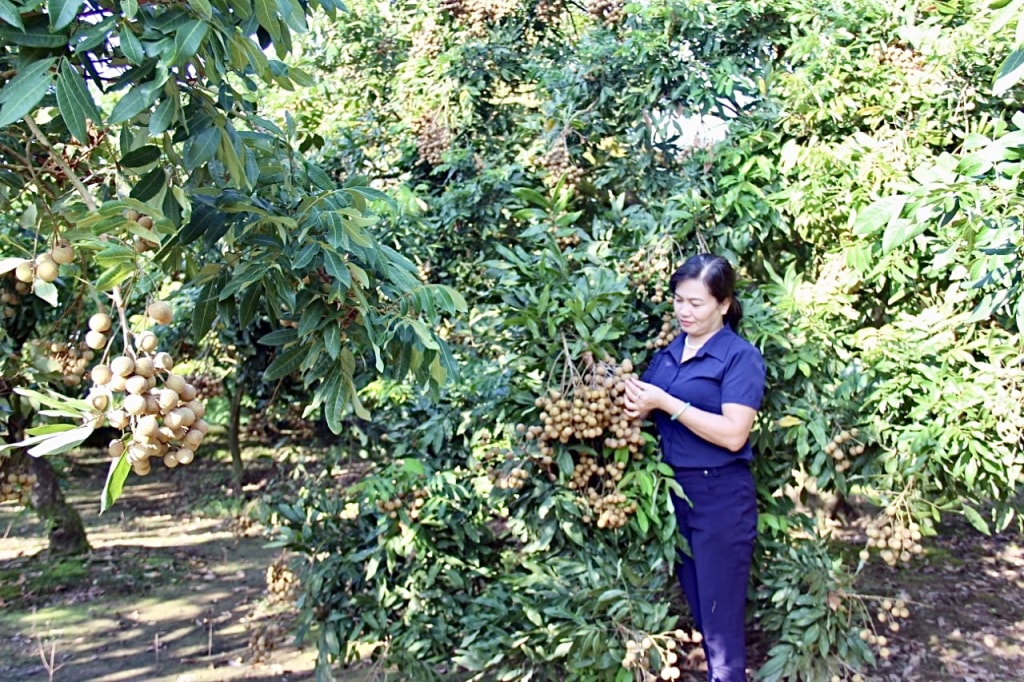 hung yen trien khai nhieu hoat dong xuc tien tieu thu nhan hinh 1