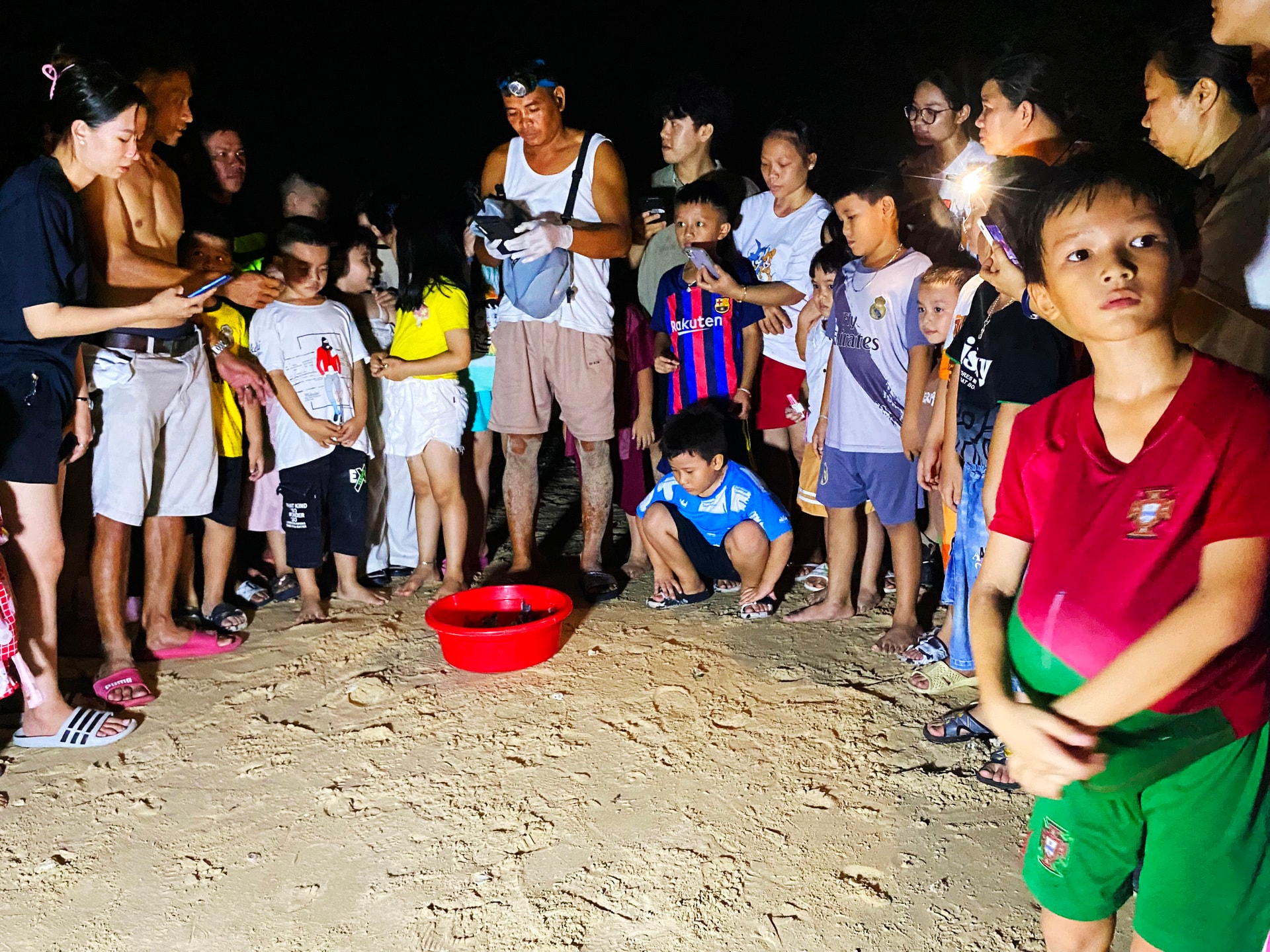 binh dinh gan 500 chu rua con chao doi tai bo bien xa dao nhon hai hinh 3