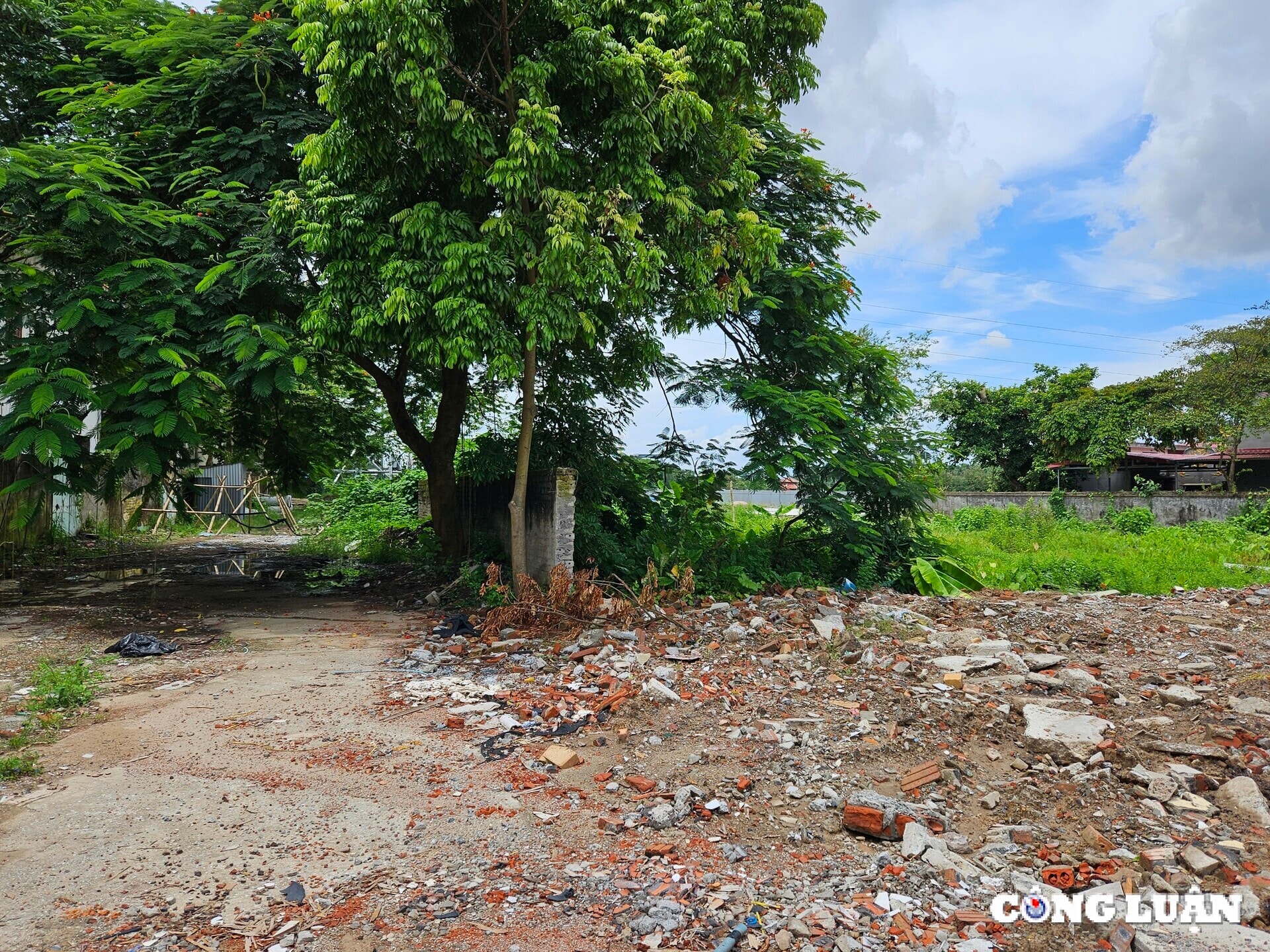 hai phong cuong che thu hoi dat de xay dung vuon hoa cong cong hinh 2