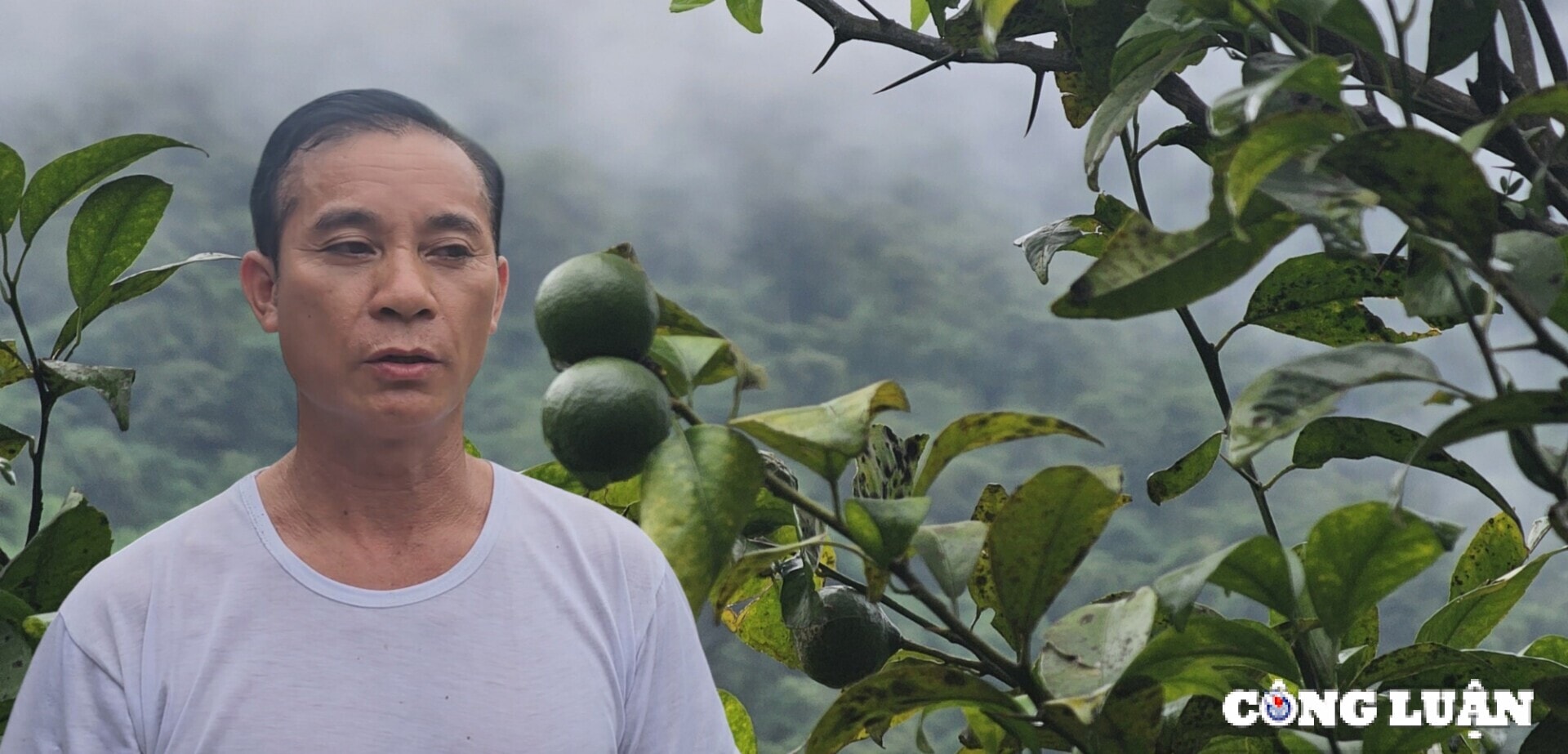 tu nhung la don xin duoc thoat ngheo hinh 2