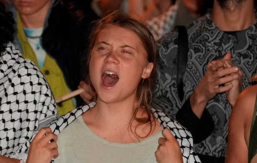 nha hoat dong moi truong greta thunberg bi bat vi bieu tinh ung ho palestine hinh 1