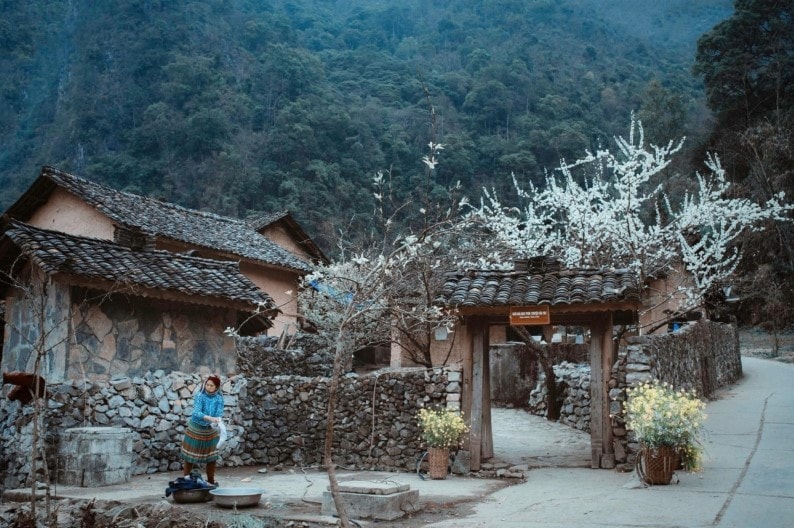 toa dam viet nam diem den moi cua dien anh the gioi hinh 3