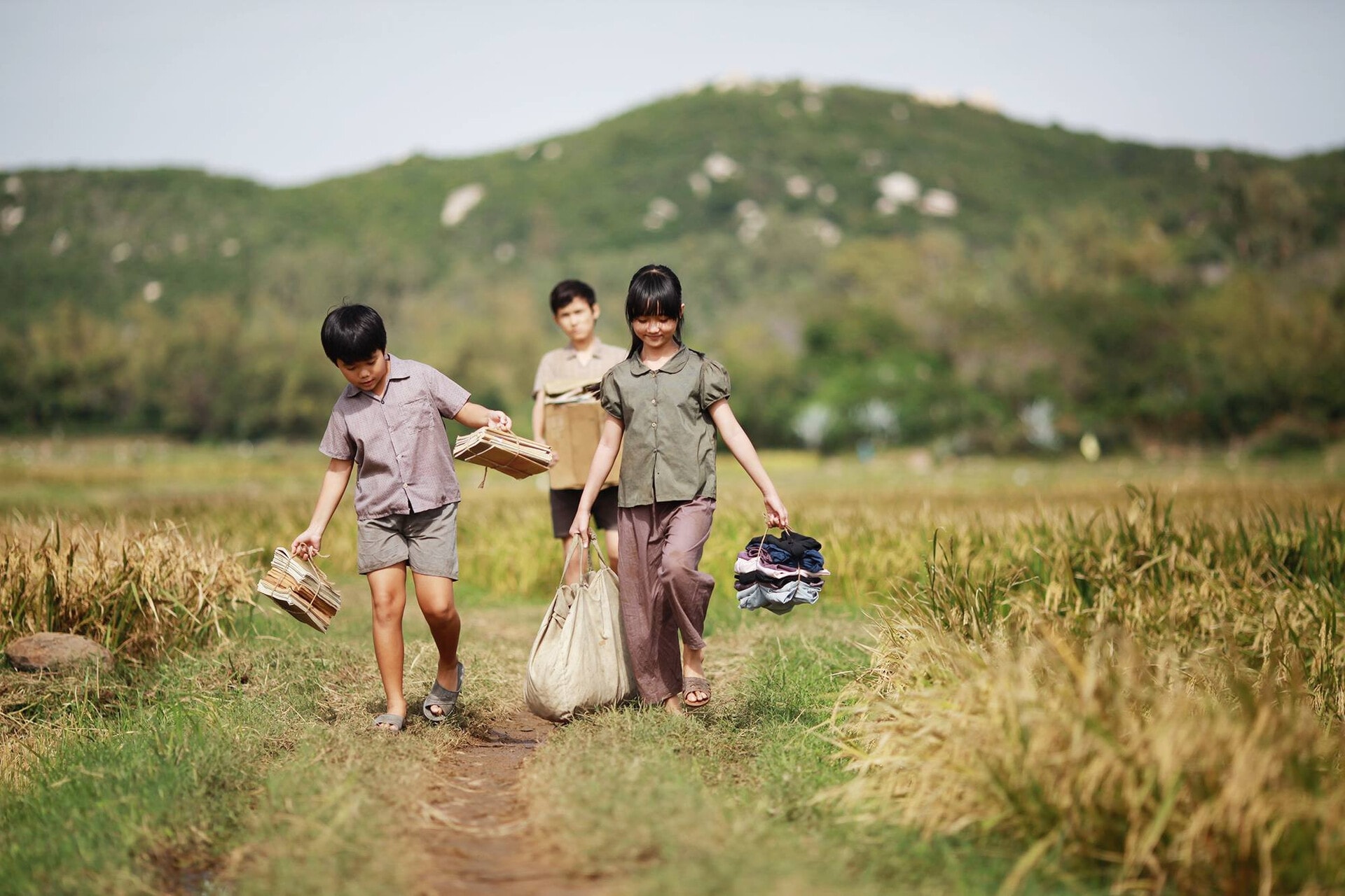 toa dam viet nam diem den moi cua dien anh the gioi hinh 1