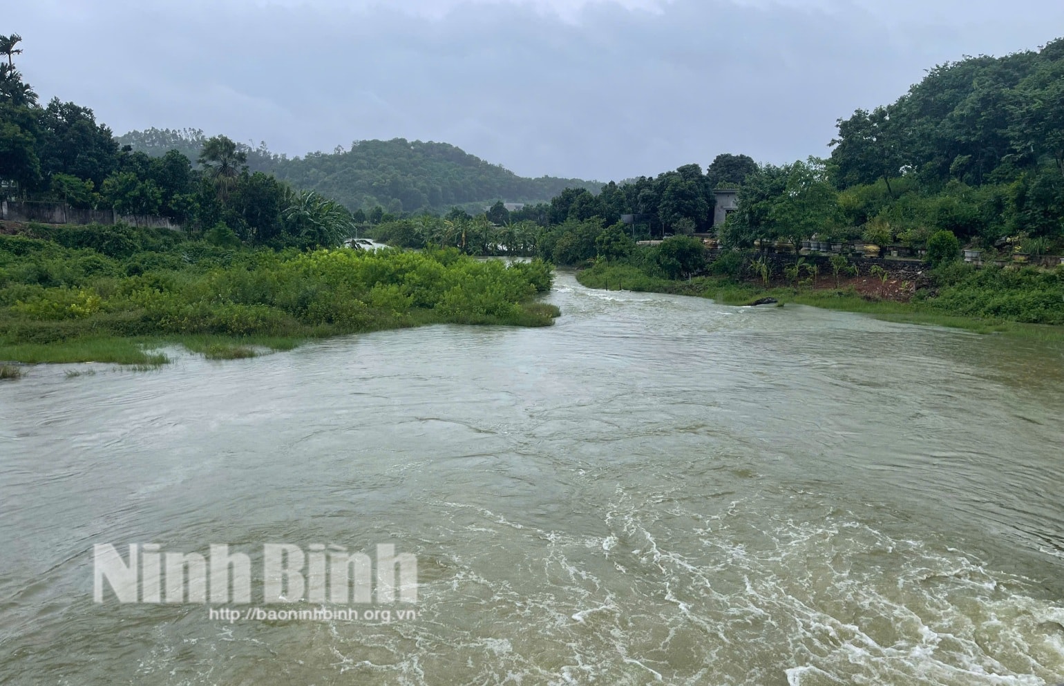 ninh binh tap trung trien khai cac giai phap tieu ung thoat nuoc bao ve lua va hoa mau sau bao hinh 1