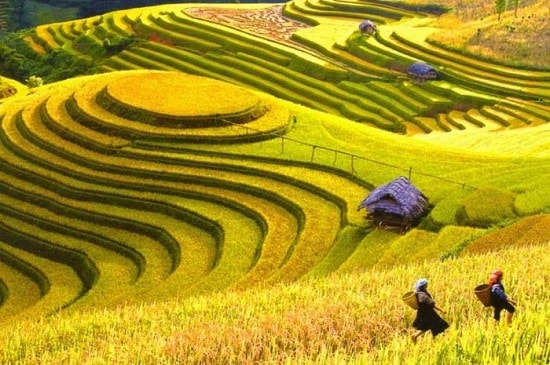 dung to chuc tuan van hoa du lich qua mien di san ruong bac thang hoang su phi nam 2024 hinh 1