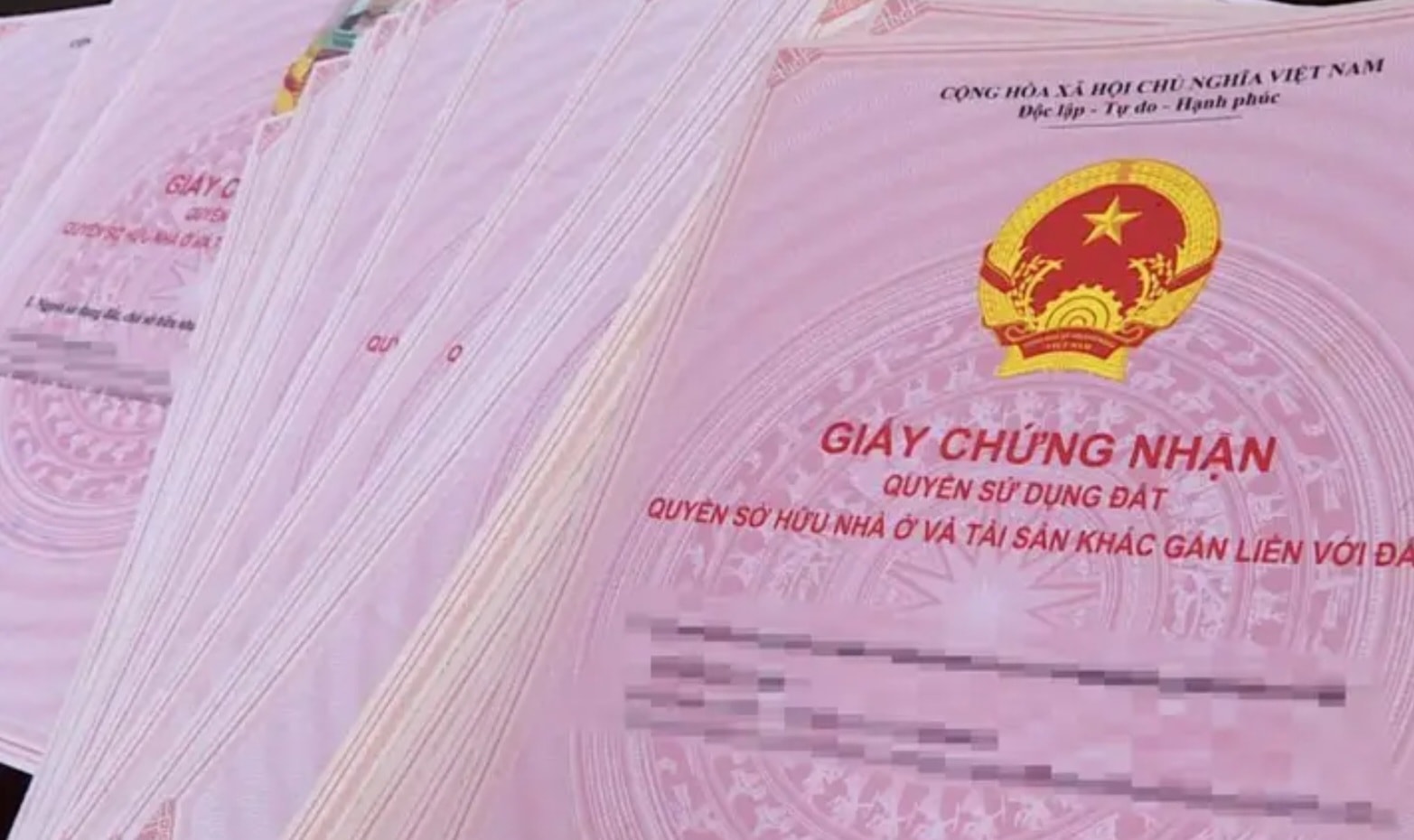 ky luat ong truong quang anh tu pho giam doc van phong dang ky dat dai binh thuan hinh 1