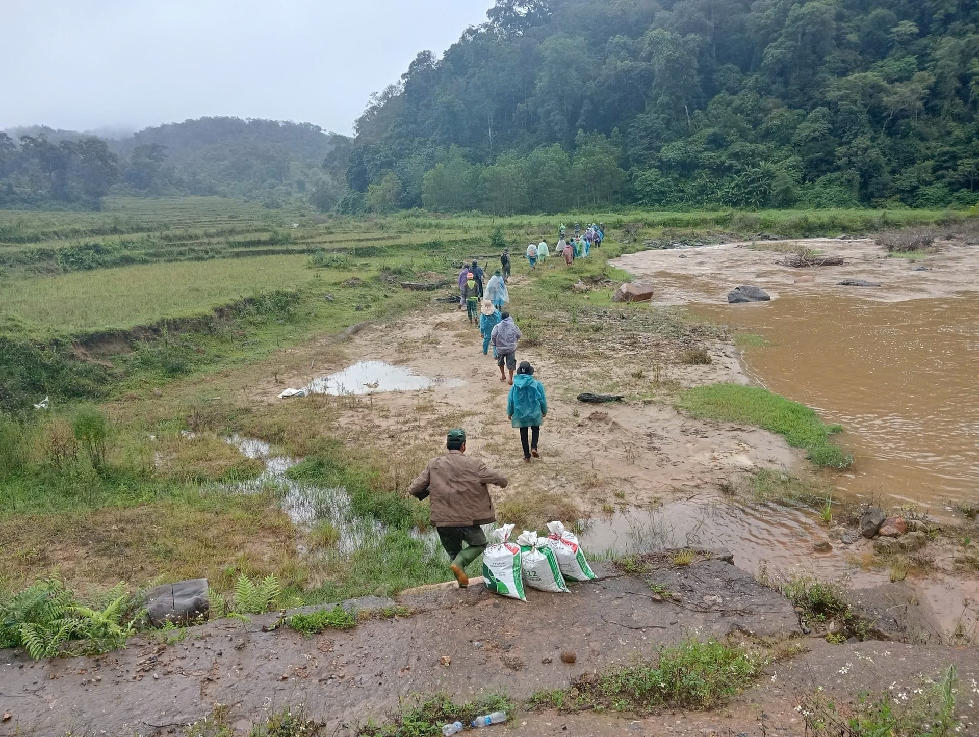 kon tum hon 100 nguoi tim kiem nguoi phu nu mat tich nhieu ngay trong rung sau hinh 1
